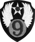 9th Air Force Emblem