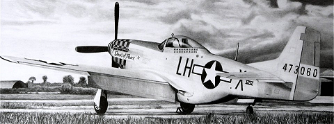 P-51D 'Dove of Peace'