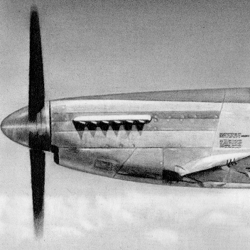 P-51D Mustang - Army Air Forces - Test Flight Inglewood